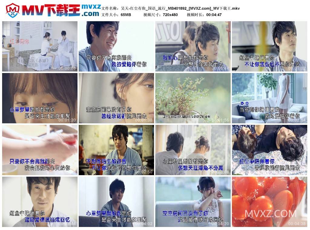 吴天-红尘有你_国语_流行_MB401892